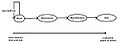Thumbnail for version as of 14:45, 13 November 2008