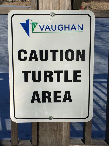 File:Caution-turtle-area.jpeg