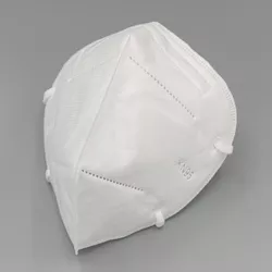 [photo of a KN95
	  respirator]