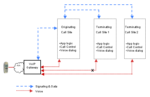 access via Voice over IP