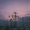 nightpool .'s profile picture
