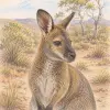 Matthew Hasler's profile picture