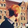 Boris De Vloed's profile picture
