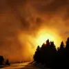 Nicolas Buerkler's profile picture