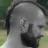 Jachym Cepicky's avatar